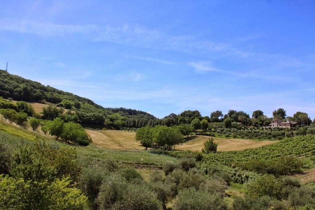 Villa Melagrana فانو الغرفة الصورة