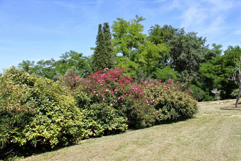 Villa Melagrana فانو الغرفة الصورة